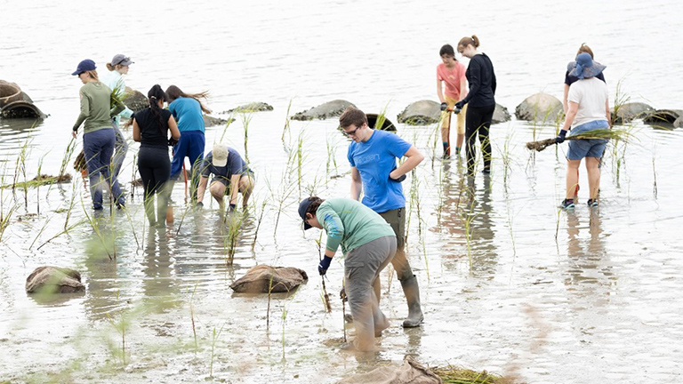 Photo courtesy Galveston Bay Foundation, Houston, TX